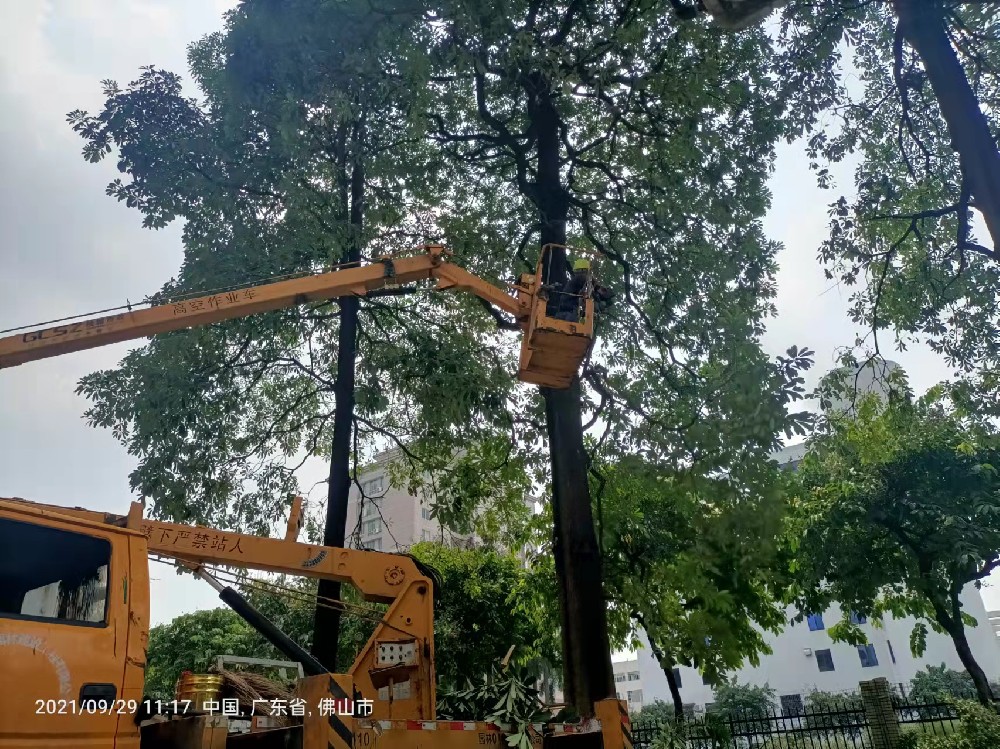 佛山智慧醫療的服務模式創新