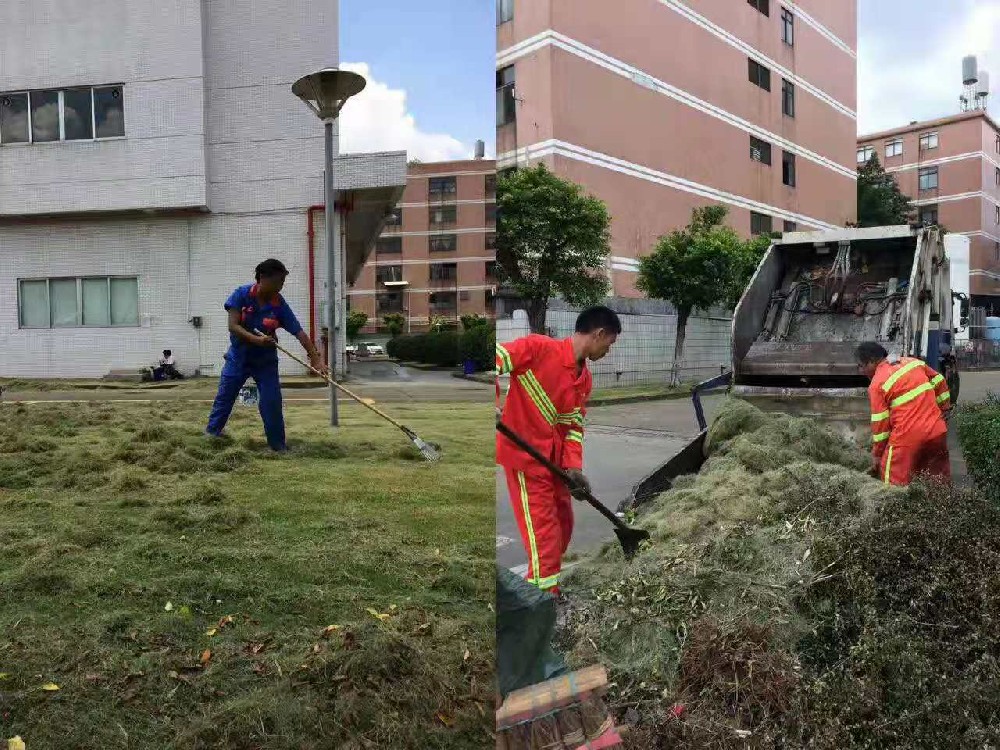 佛山綠植租賃的互動營銷